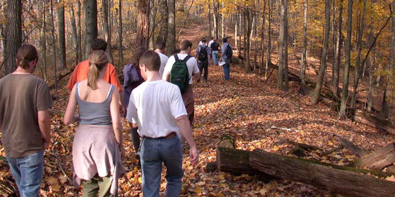 Students walking through woods